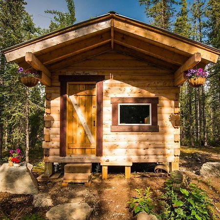 Blackburn Cabins - Mccarthy, Alaska エクステリア 写真