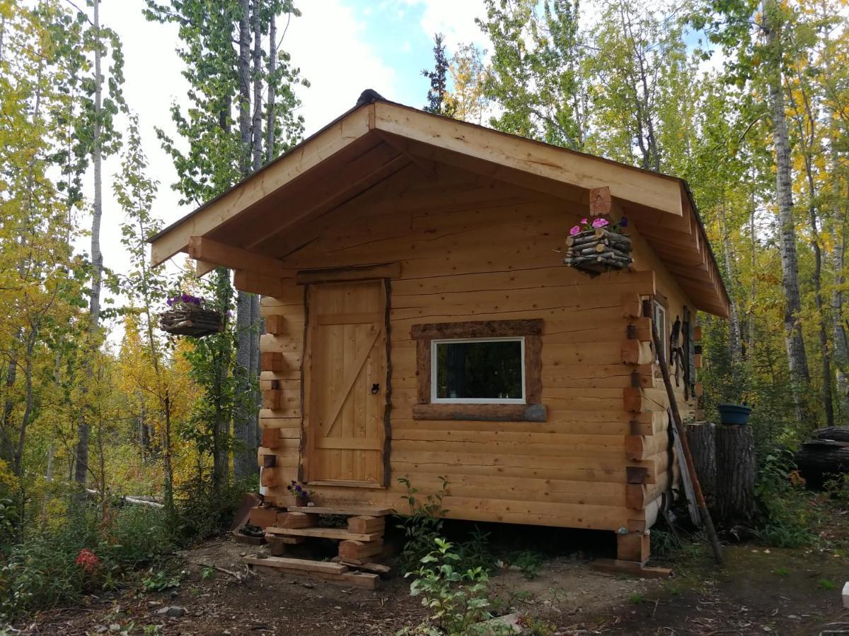 Blackburn Cabins - Mccarthy, Alaska エクステリア 写真