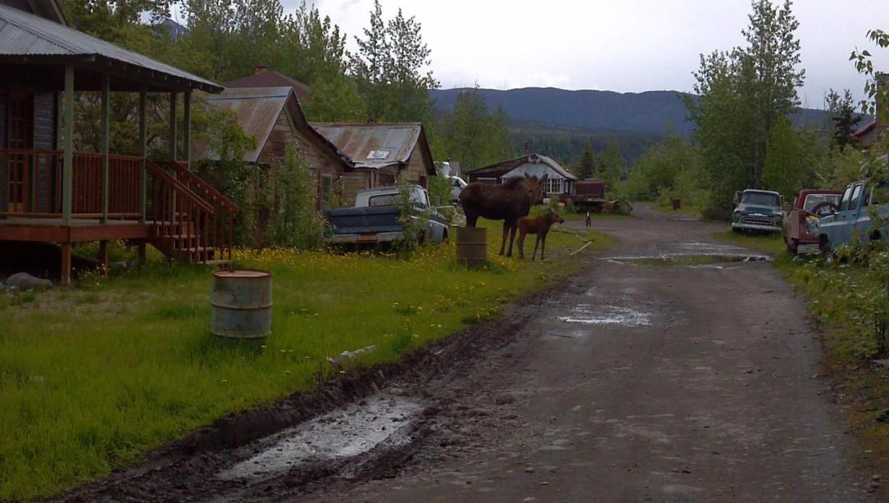 Blackburn Cabins - Mccarthy, Alaska エクステリア 写真