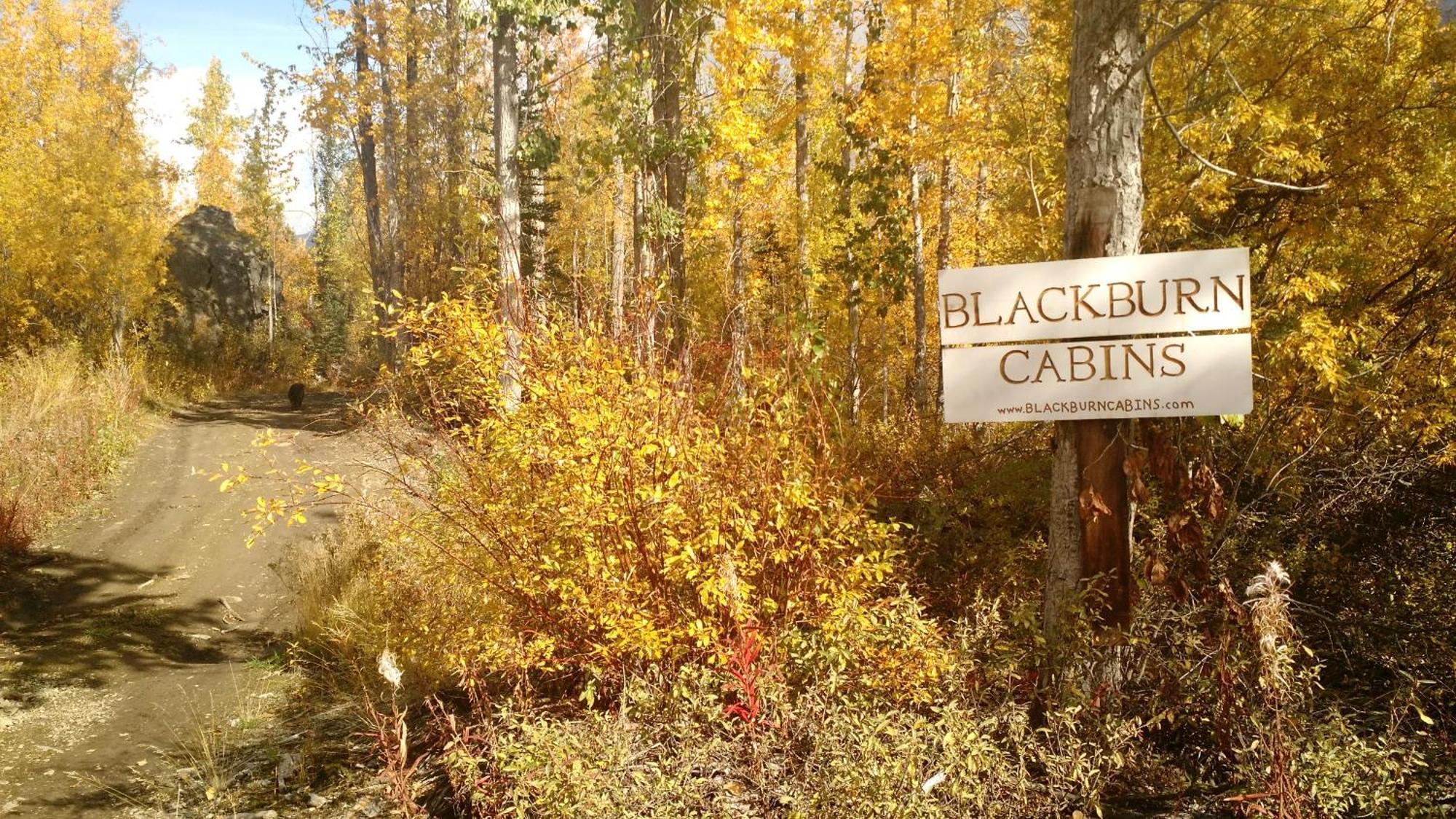 Blackburn Cabins - Mccarthy, Alaska エクステリア 写真