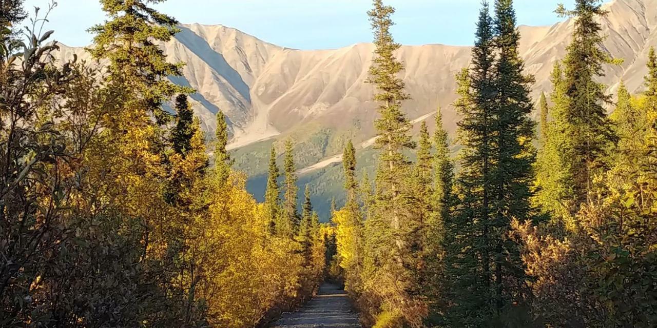 Blackburn Cabins - Mccarthy, Alaska エクステリア 写真